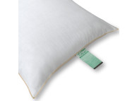 Green Choice 25 oz. Queen Pillow